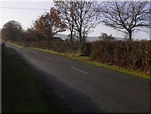 SU8620 : View south on Bepton Road towards Bepton by Shazz