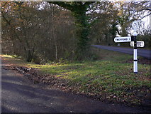 SU8220 : Minor road junction between Elsted and Elsted Marsh by Shazz