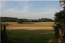 TQ4363 : Looking north off the London Loop by Christopher Hilton
