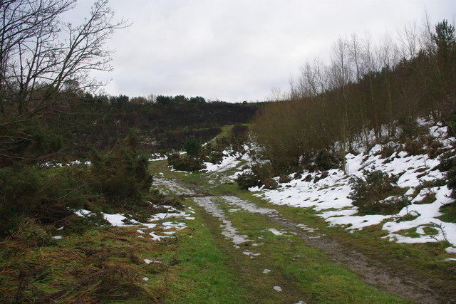 Woodland  and track