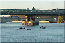 TQ2475 : The River Thames from Wandsworth Park by Russel Wills
