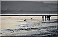SY0079 : Exmouth : Walking the Dog Along the Beach by Lewis Clarke
