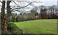 Field near Minnowburn, Belfast