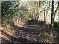 Bridleway between Hunters Farm and Woodcock Farm