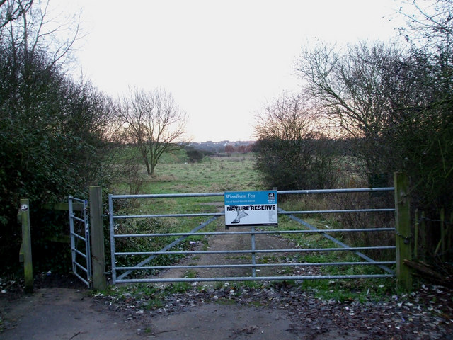 Woodham Fen Nature Reserve © Terry Joyce :: Geograph Britain And Ireland