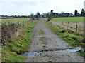 Very small ford on track towards Ockley Manor