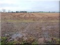 Stubble field, off Dolly Lane