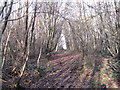 Footpath through Moyse