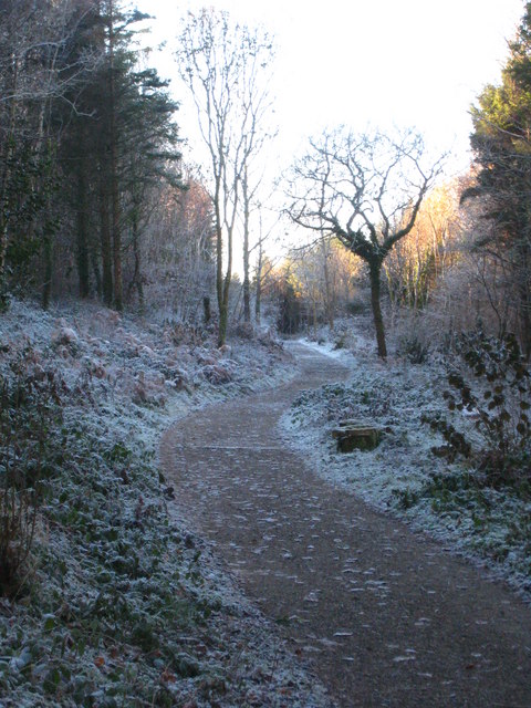 Woodland path in Oak Wood