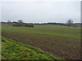 Footpath across the field towards Puck Hill