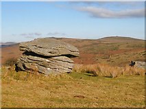 SX6771 : Outcrop of Granite - Combestone Tor Dartmoor by Sarah Smith