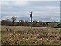 Pylon in the field below Sandy Gate Lane