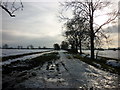 A Byway off Baileywood Lane