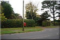 Postbox, A271, Boreham Street