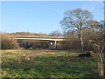 SX8577 : Viaduct across River Teign by Derek Harper