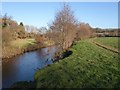 River Teign at Chudleigh Knighton