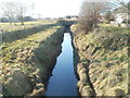 Liswerry Pill Reen, Newport