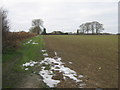 Bridleway to Canterbury Road