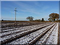 Wintertime footpath at Cranmere