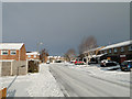 A quiet Carlton Colville street in the mid morning