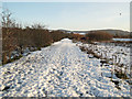 Cycle path towards Perth