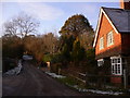 Upland Lane at Scotland Farm looking west