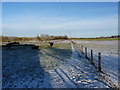 Footpath near Rowley Farm