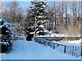 Path to Vale of Leven Cemetery