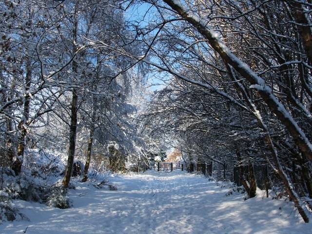 Path to Vale of Leven Cemetery © Lairich Rig :: Geograph Britain and ...