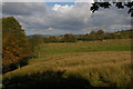 Gritstone Trail: alternative route up the side of Lyme Park, looking north off the path