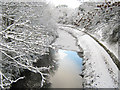 Bridgwater and Taunton Canal in winter