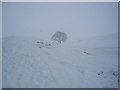 Snow scene near Planetrees