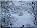 Snow Scene below Crag House