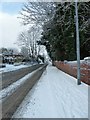 Pavement on a snowy Bedhampton Hill- looking up