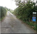 Buttington Terrace, Beachley