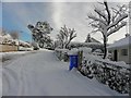 Snowy Knockgreenan