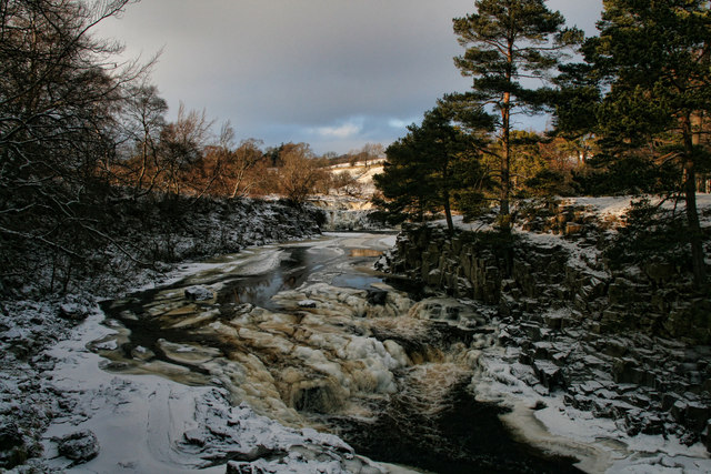 Low Force
