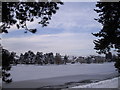 Roath Park Lake, frozen, Cardiff