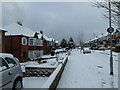 A snowy Grant Road (2)