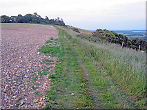 SU1763 : Path on Martinsell Hill by Trevor Rickard