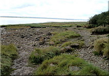 ST5590 : West bank of the Severn, Beachley by Jaggery