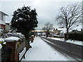 Looking southwards down a snowy Farlington Avenue