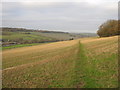 Bridleway on Beach Downs