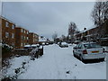 December snow in Solent Road (j)