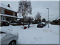 Fun on a toboggan in Solent Road