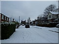 December snow in Solent Road (k)