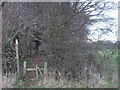 Stile in Shuttles Wood