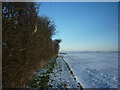 A footpath to Humberston Fitties