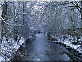 Beverley Brook by Palewell Common, in snow