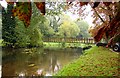 Footbridge over the Little Ouse River